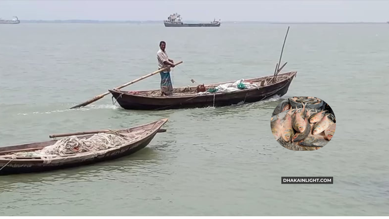 এখন থেকে ৫৮ দিন ইলিশ ধরা ও বিক্রিতে নিষেধাজ্ঞা। Dhakainlight.com