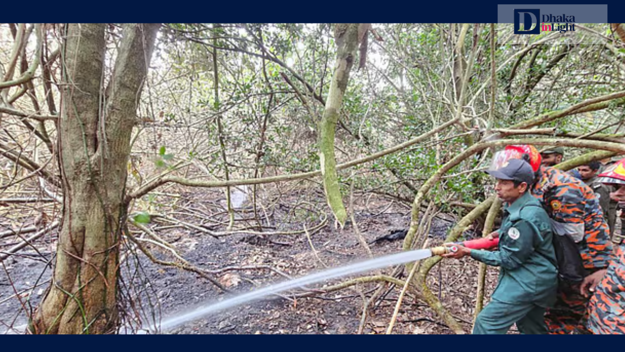রাতভর চেষ্টায় সুন্দরবনের আগুন নিয়ন্ত্রণে, নতুন এলাকায় ধোঁয়ার কুণ্ডলী, Dhakainlight.com