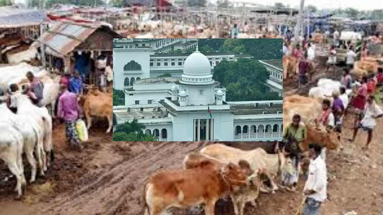 আফতাবনগরে পশুর হাট বসানোর ইজারা বিজ্ঞপ্তির কার্যক্রম তিন মাসের জন্য স্থগিত. Dhakainlight.com