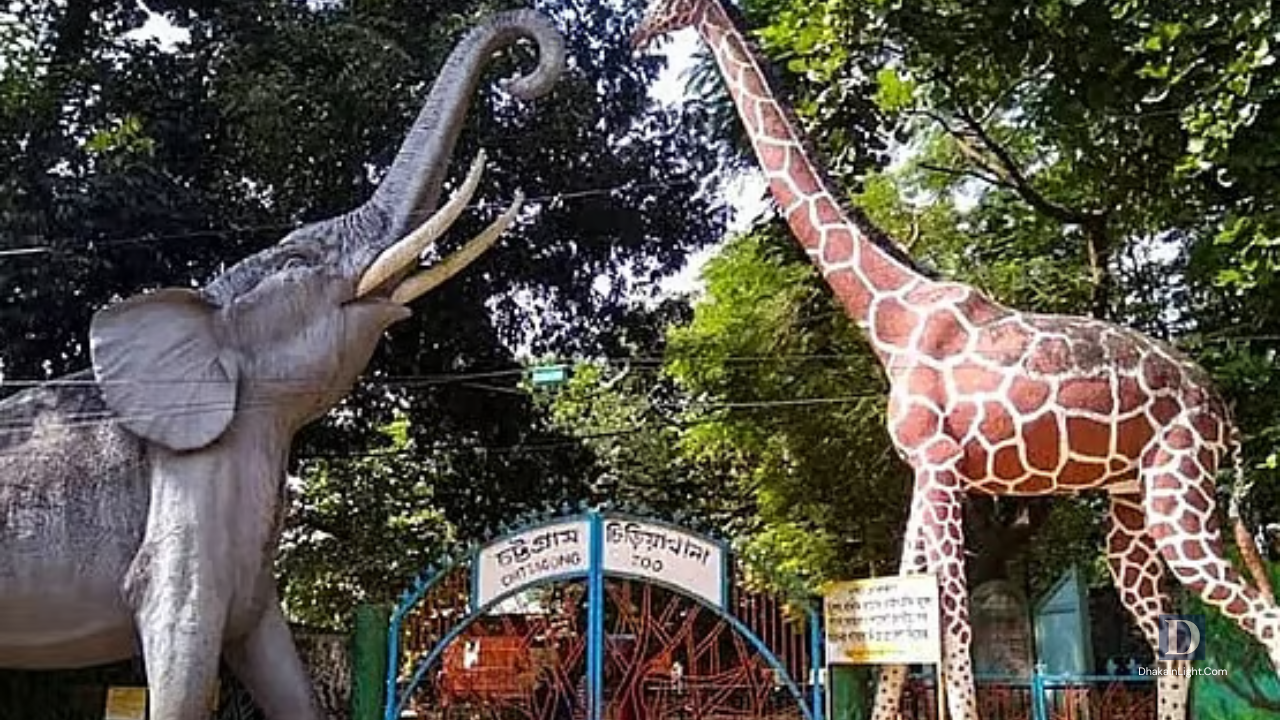চট্টগ্রাম চিড়িয়াখানায় নির্মাণাধীন ফটক ও দেয়াল ধসে আহত ৫ শ্রমিক. Dhakainlight.com