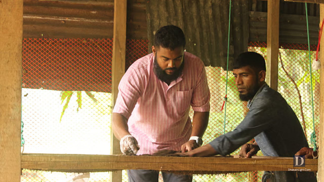 চাকরি ছেড়ে খামারে ঝুঁকলেন ওসমান, বছরে আয় করছেন প্রায় ২০ লাখ টাকা. Dhakainlight.com