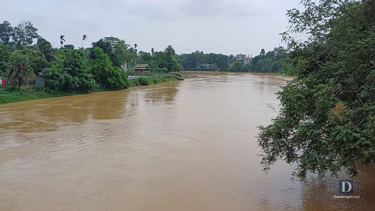 শেরপুরের নদ–নদীর পানি কমছে, আপাতত বন্যার আশঙ্কা নেই. Dhakainlight.com